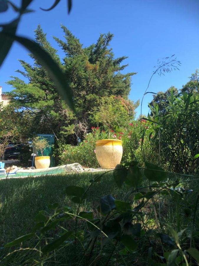 B&B Oasis Des Lavandes - Chambre Coqueliot Villeneuve-lès-Avignon 외부 사진
