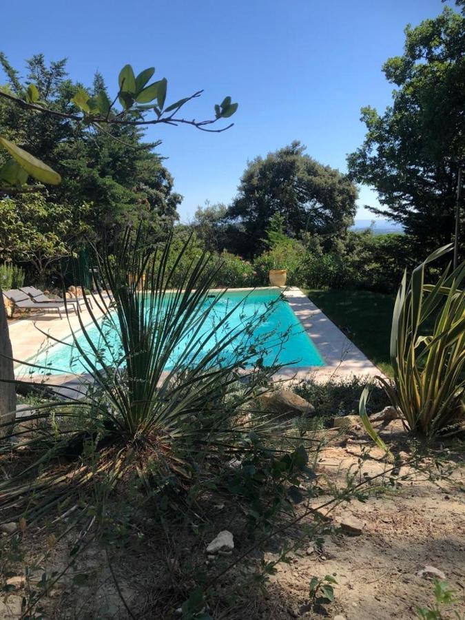 B&B Oasis Des Lavandes - Chambre Coqueliot Villeneuve-lès-Avignon 외부 사진